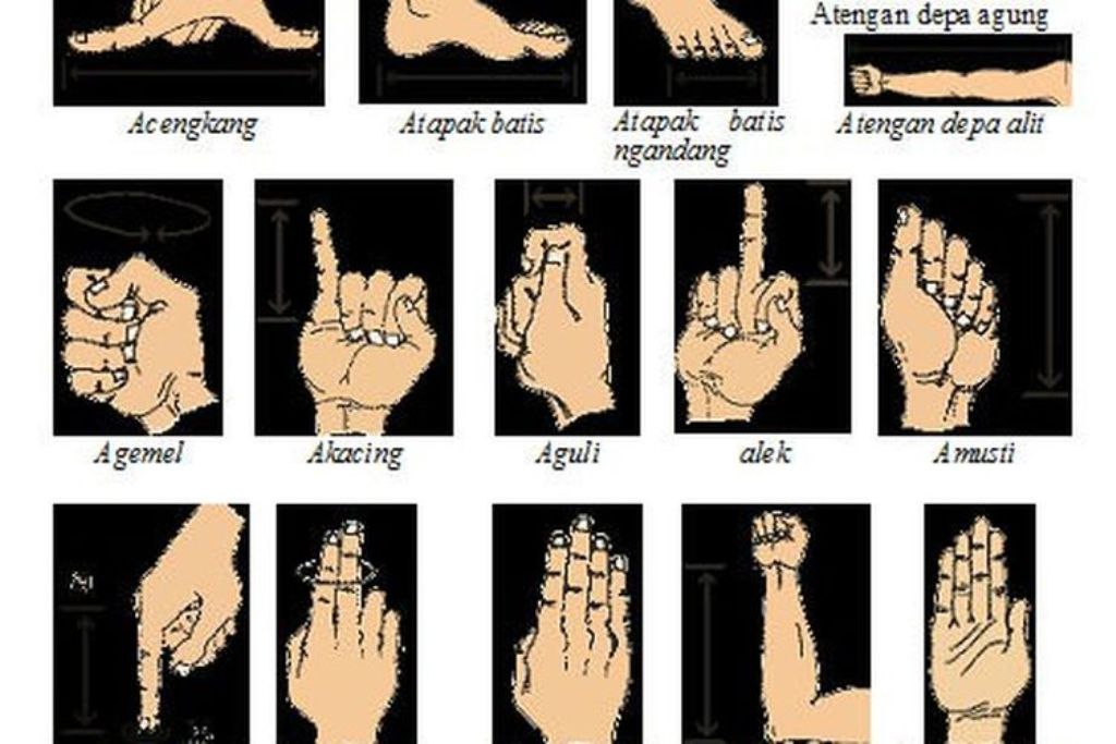 Ukuran berdasarkan anatomi tubuh pemilik rumah