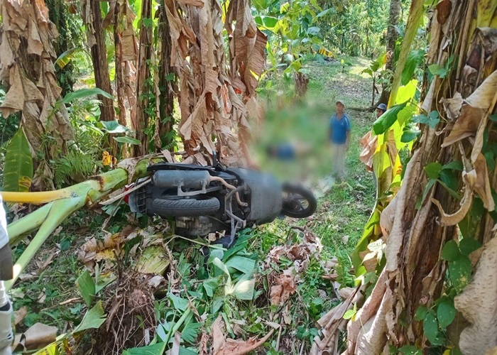 LAKA : Kondisi sepeda motor korban yang terperosok ke semak-semak.