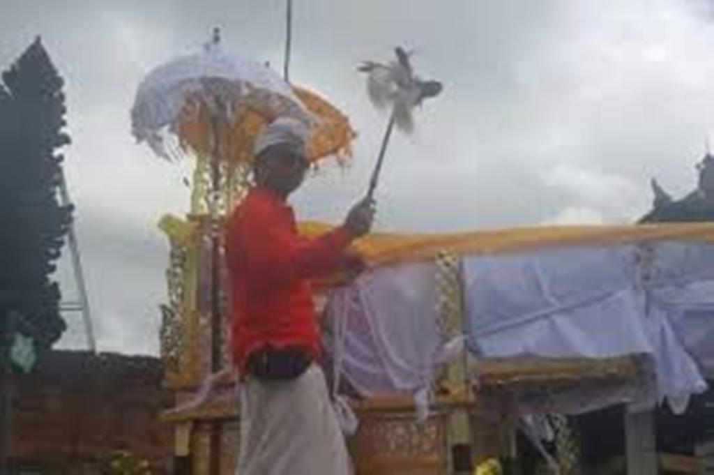 PEPAGA: Pepaga adalah salah satu jenis Wadah yang digunakan untuk membawa jenazah ke kuburan saat upacara ngaben umat Hindu di Bali.