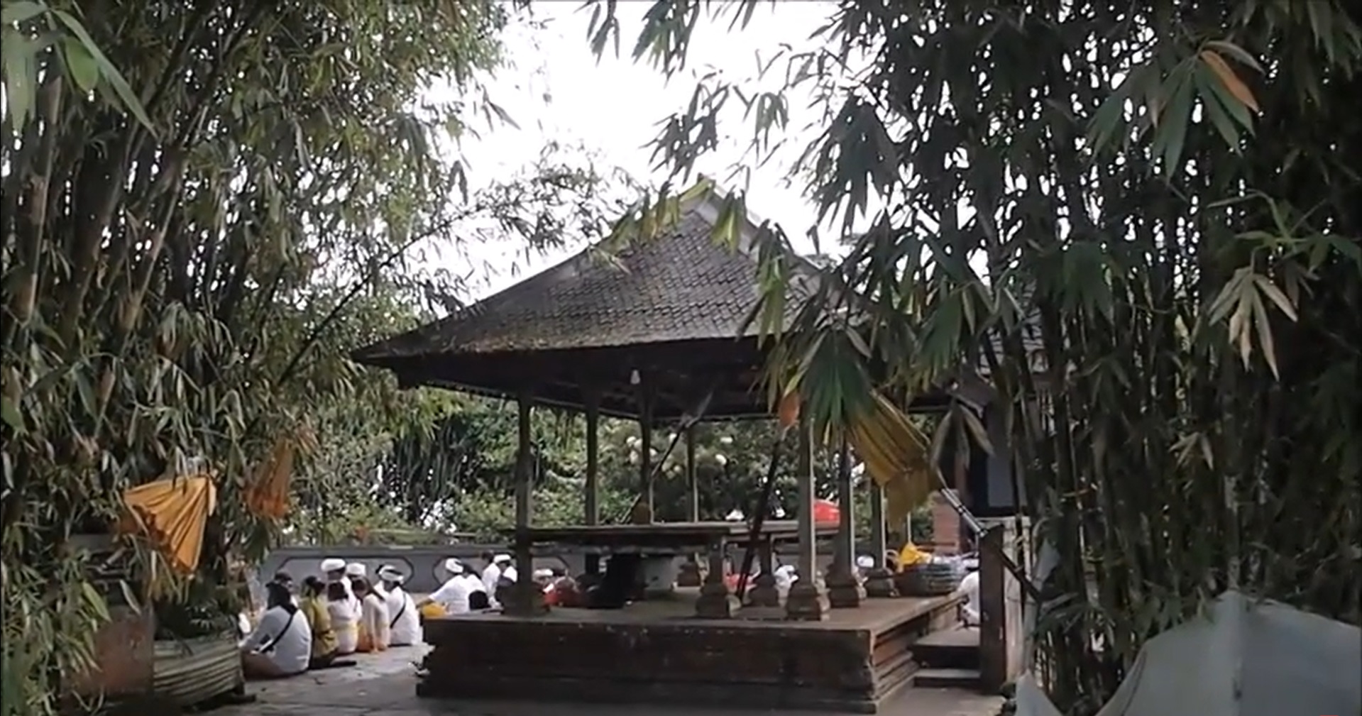bambu keramat di Pura Luhur Lempuyang yang dijdikan tempat tira pingit