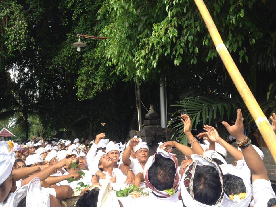Pohon beringin yang dianggap sakral bagi Umat Hindu di Bali