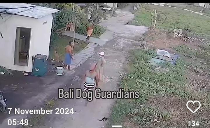 Seorang pria pukul anjing hingga mati usai mendapat gigitan