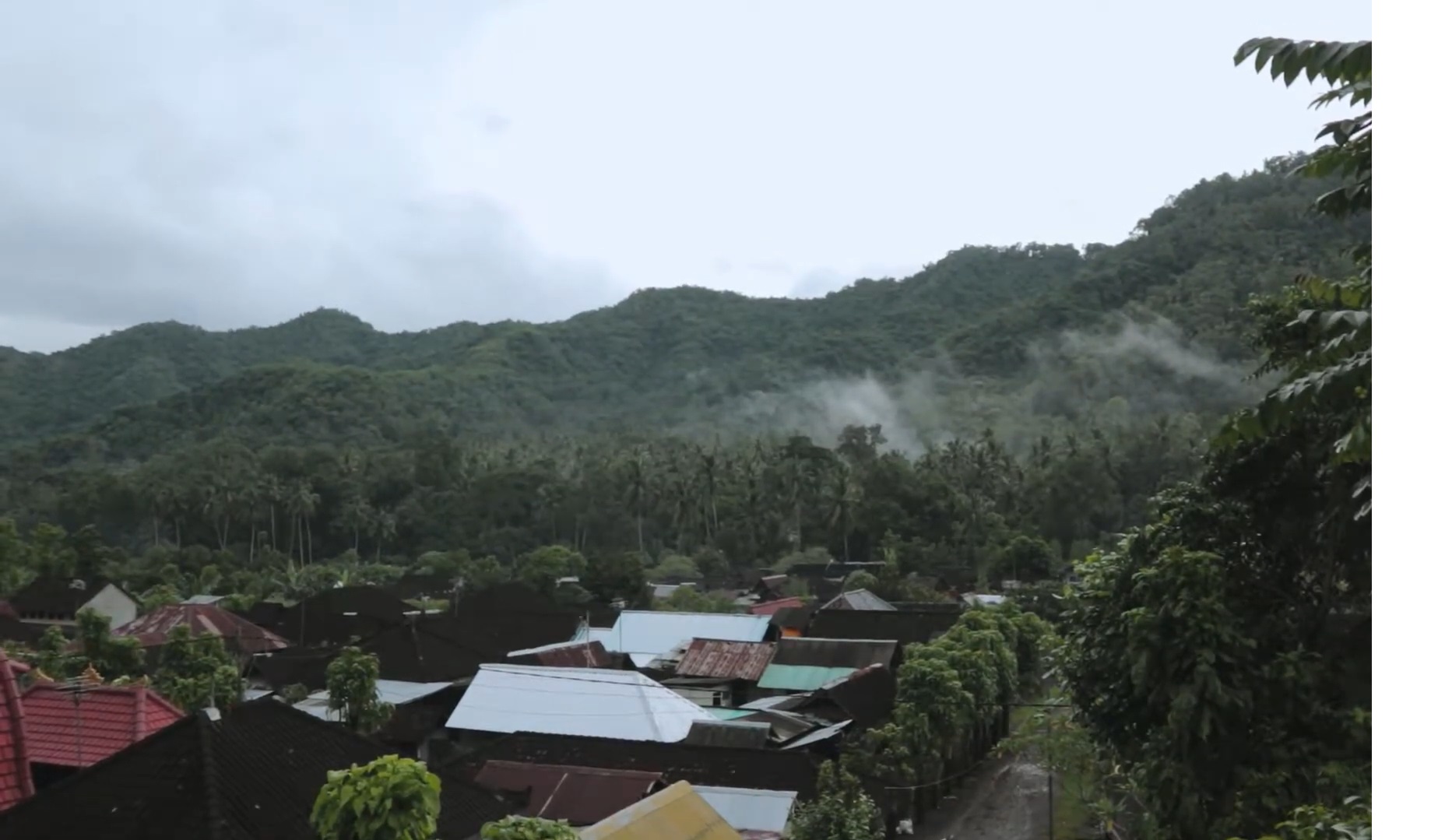 Hutan di Desa Tenganan Kecamatan Manggis, Karangasem