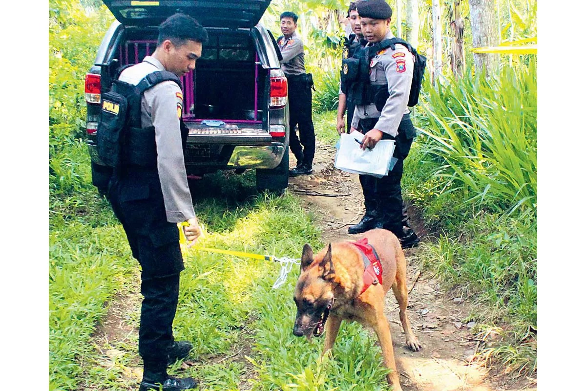 ENDUS JEJAK PELAKU: Anjing pelacak K9 diturunkan di lokasi penemuan jenazah korban rudapaksa di Desa Kalibaru Manis, Kecamatan Kalibaru, Banyuwangi, Minggu (17/11).