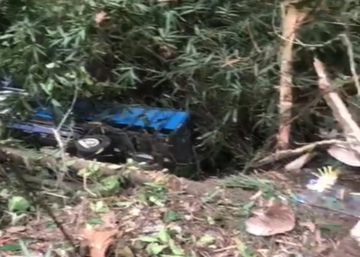 NAAS : Kondisi pasca truk jatuh ke dalam jurang di Tegallalang, Gianyar.