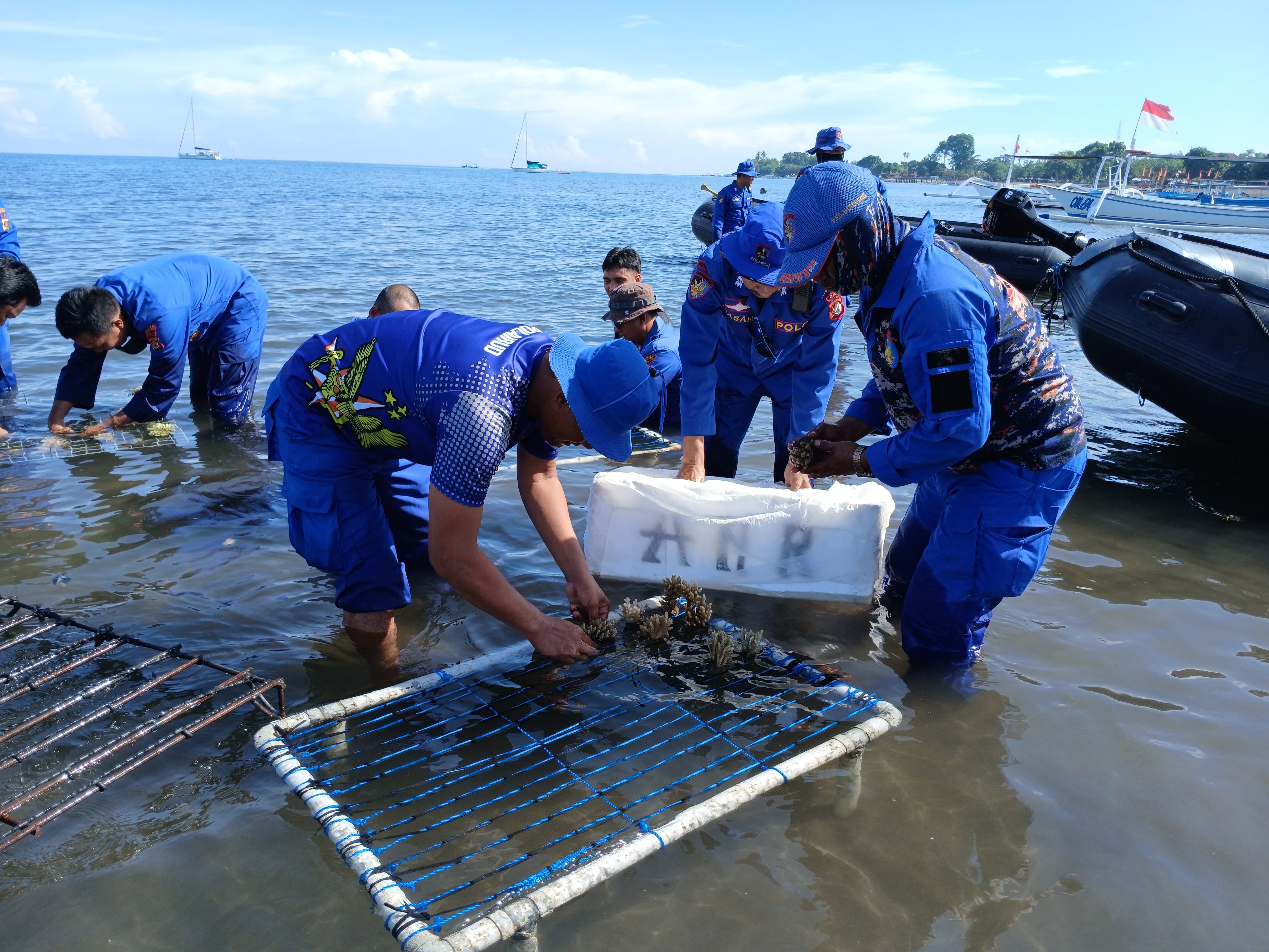 Transplantasi terumbu karang di pantai Kaliasem oleh Polairud Polres Buleleng.