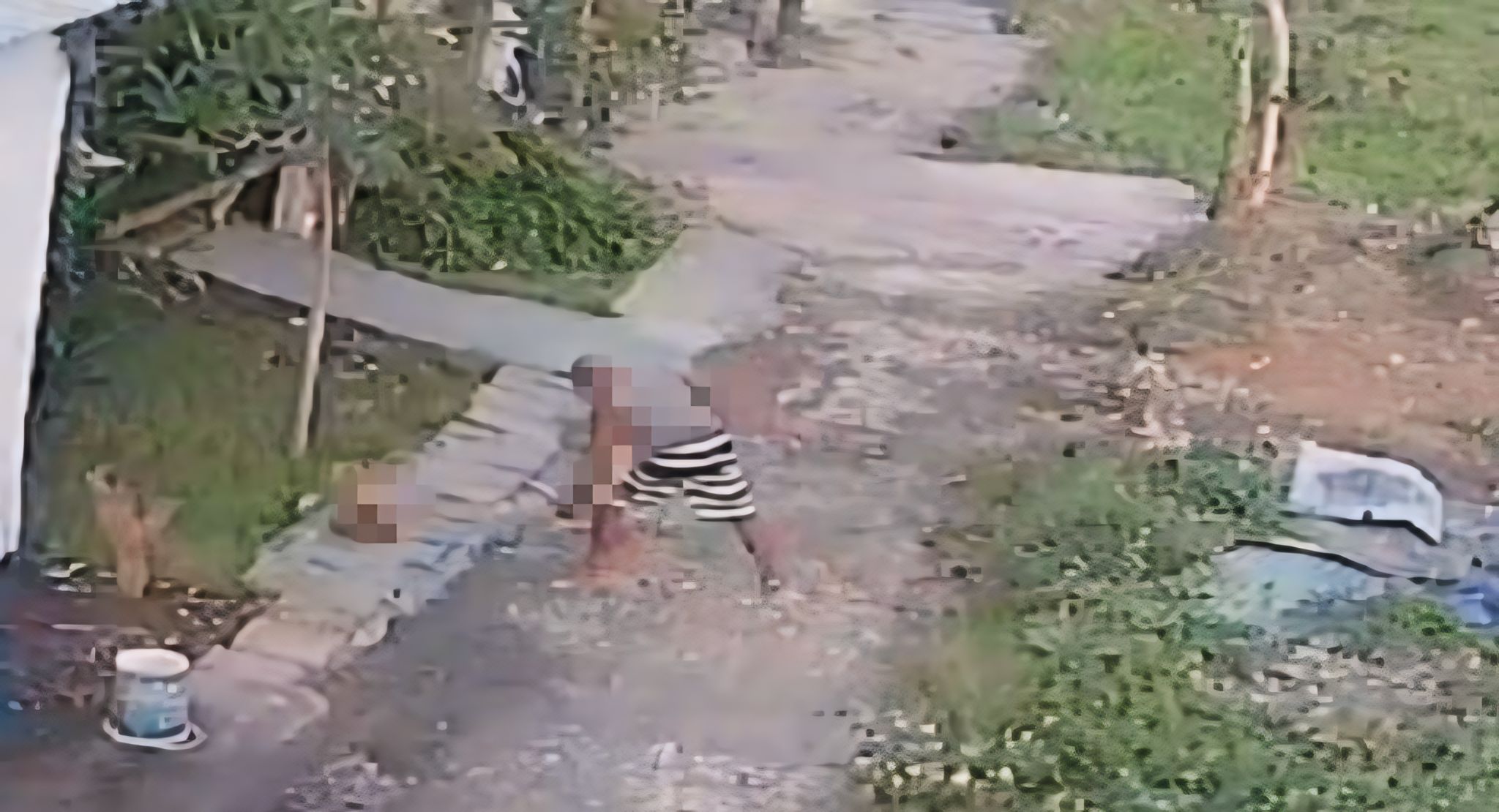 Terekam: Tangkapan layar rekaman CCTV saat terlapor melakukan kekerasan terhadap anjing bernama Badai. (Bali Express/Istimewa)