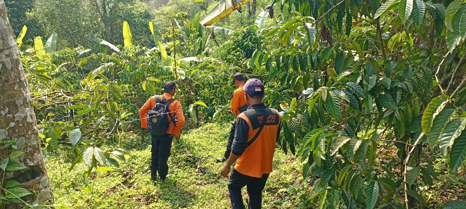 DITEMUKAN: Setelah dua hari proses pencarian Desak Nyoman Ramaeyani, warga Desa Belatung Kecamatan Pupuan akhirnya ditemukan di Kabupaten Jembrana.