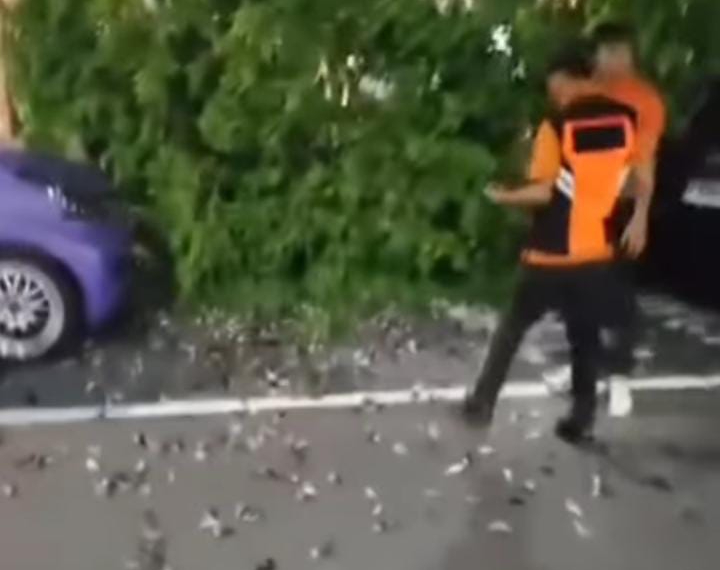 Ratusan burung pipit mati dikawasan Bandara I Gusti Ngurah Rai