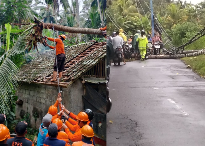 Sejumlah bencana yang terjadi di wilayah Klungkung.