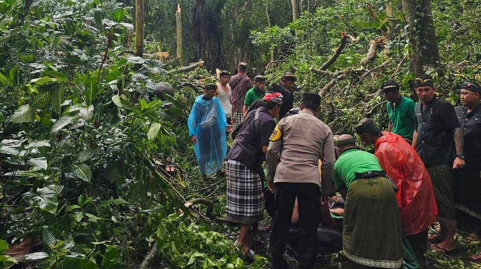 BPBD Bali mencatat terjadi 54 titik pohon tumbang di Bali pada Selasa (10/12/2024)