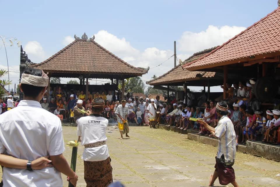 Aktifitas Ulu Apad pada saat saba di Desa Pedawa