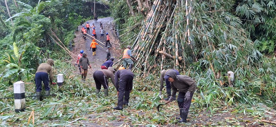 BPBD Bangli dan pihak terkait lain melakukan penanganan rumpun bambu di Tegalalang, Kelurahan Kawan, Bangli pada Rabu (11/12/2024).