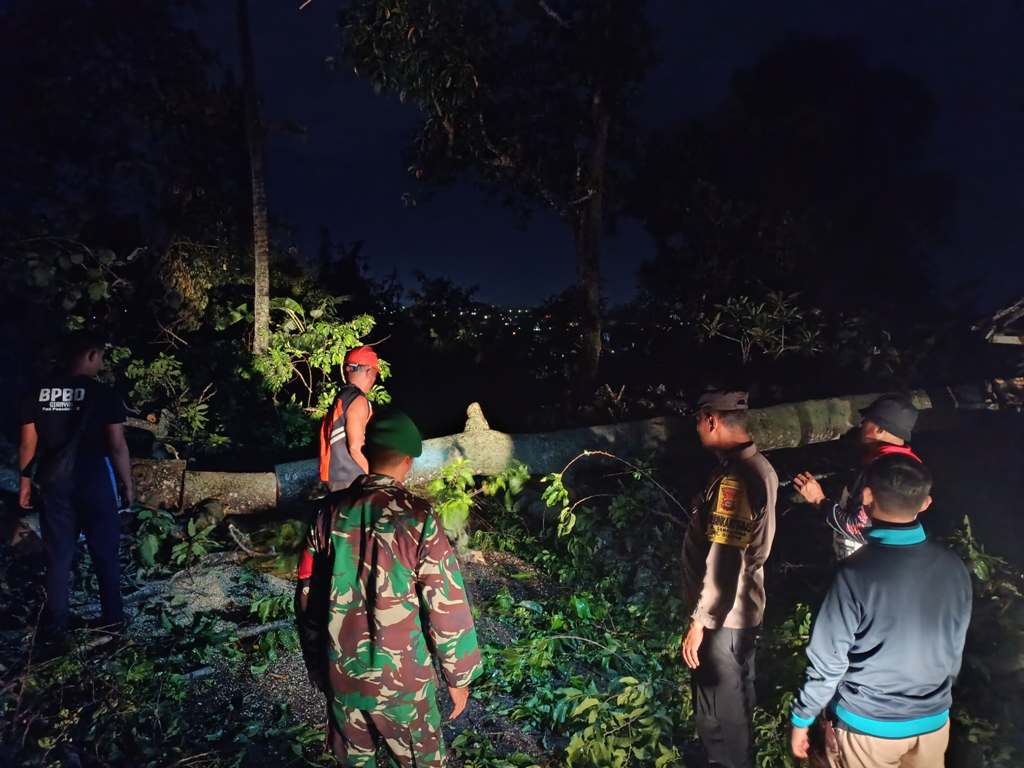Pohon tumbang di Gianyar, Bali
