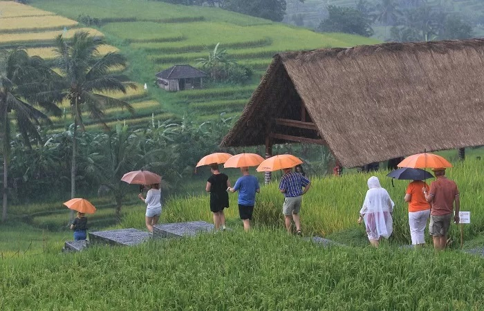 Pemerintah Australia mengeluarkan travel warning kepada warganya terkait ancaman penyakit demam berdarah yang beredar di Bali.