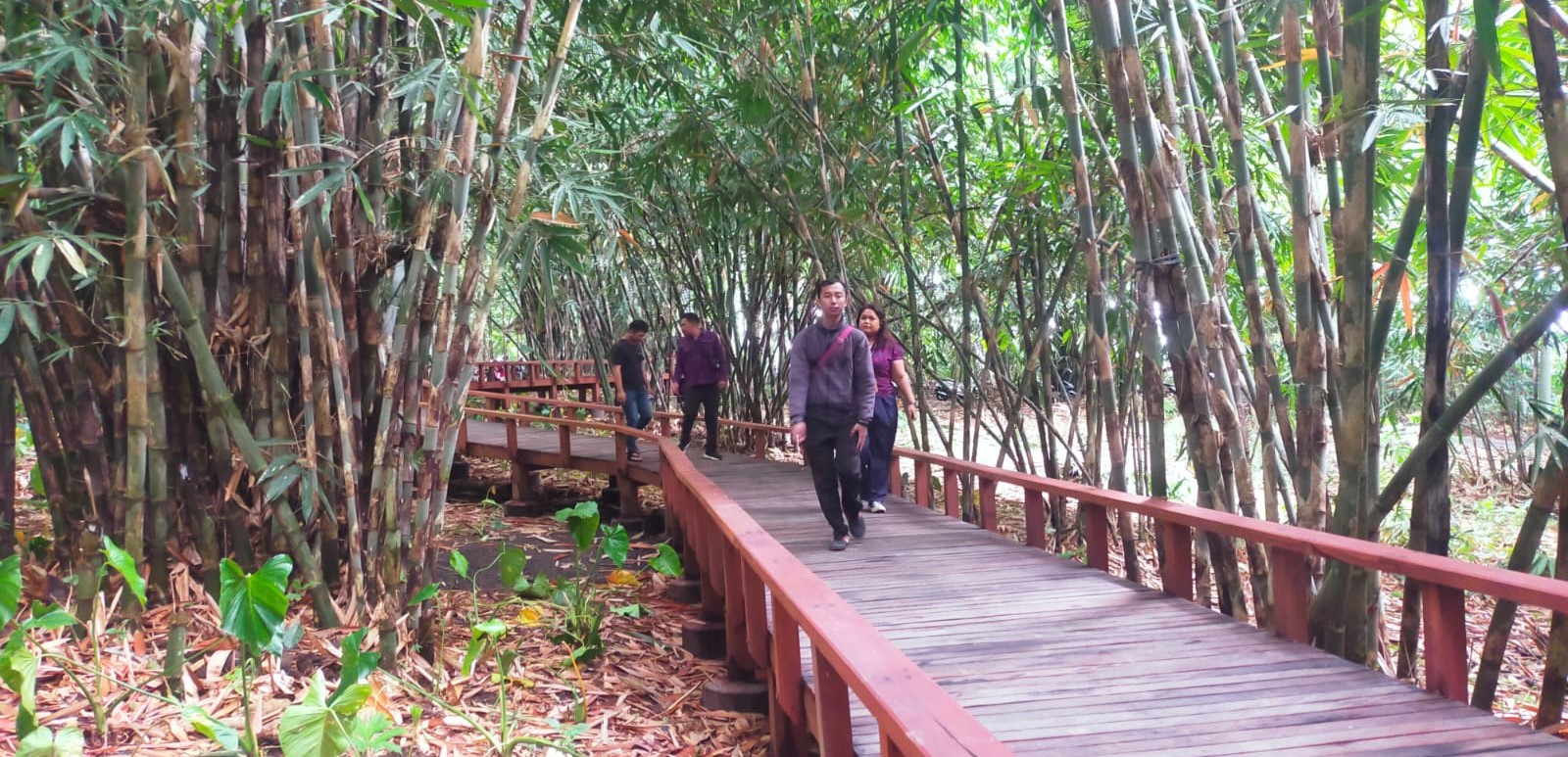 Jembatan kayu di&nbsp;tengah hutan&nbsp;bambu di Desa Wisata Penglipuran menjadi spot terbaru yang bisa dinikmati wisatawan.