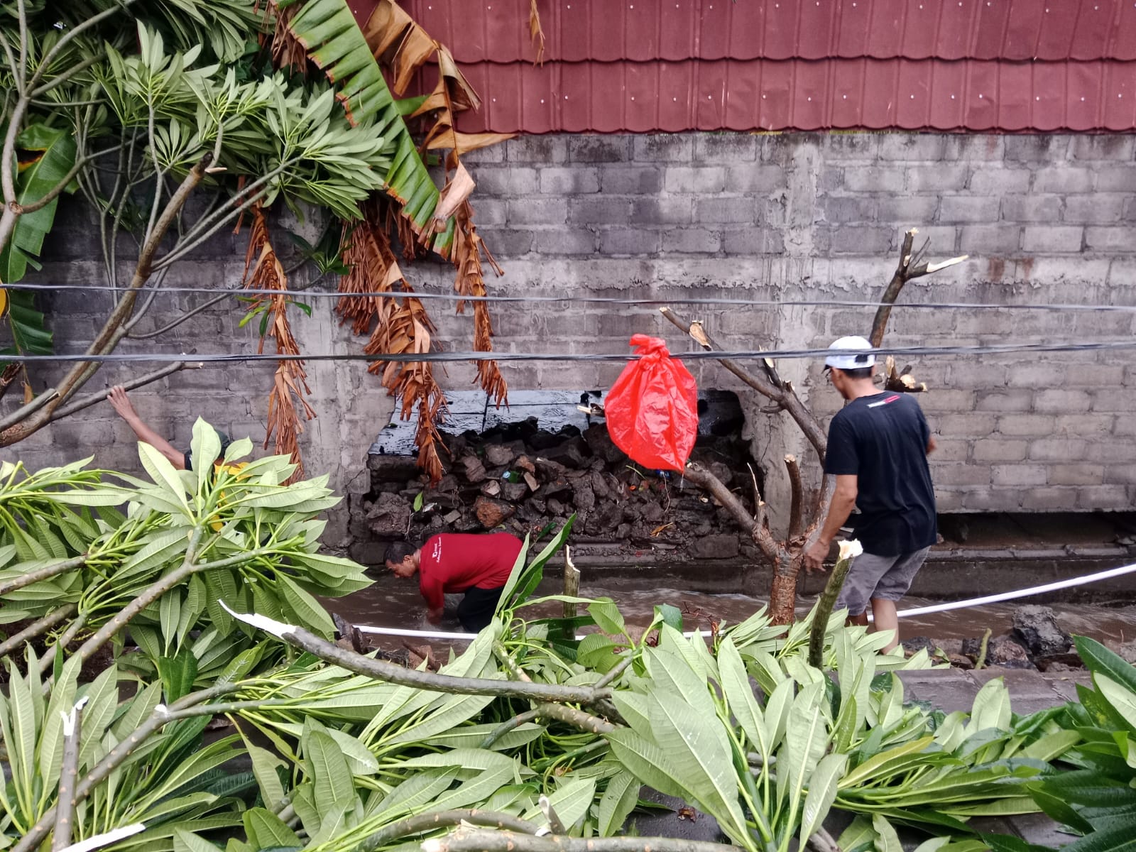 Senderan RS Pratama di Tangguwisia, Seririt yang menimpa penyengker milik warga