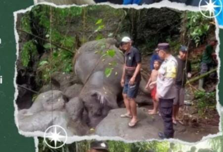 Tubuh Moly ditemukan dalam keadaan mati oleh warga