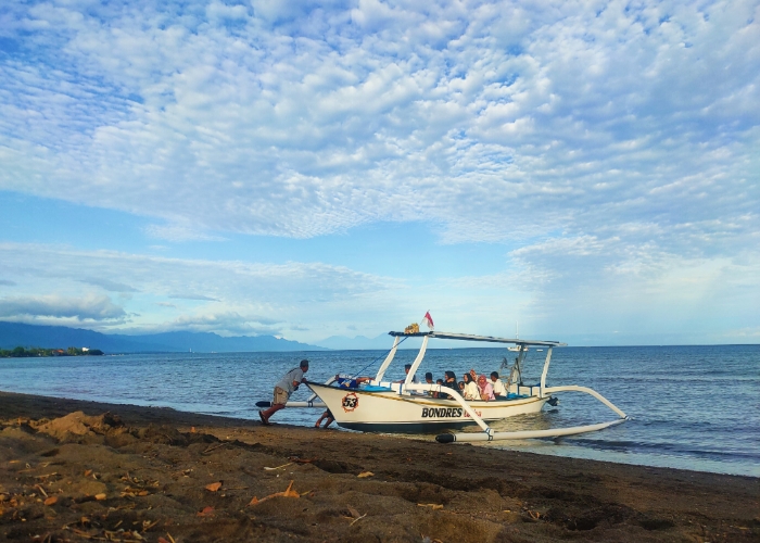 Para wisatawan akan menikmati atraksi lumba-lumba di tengah laut Lovina.