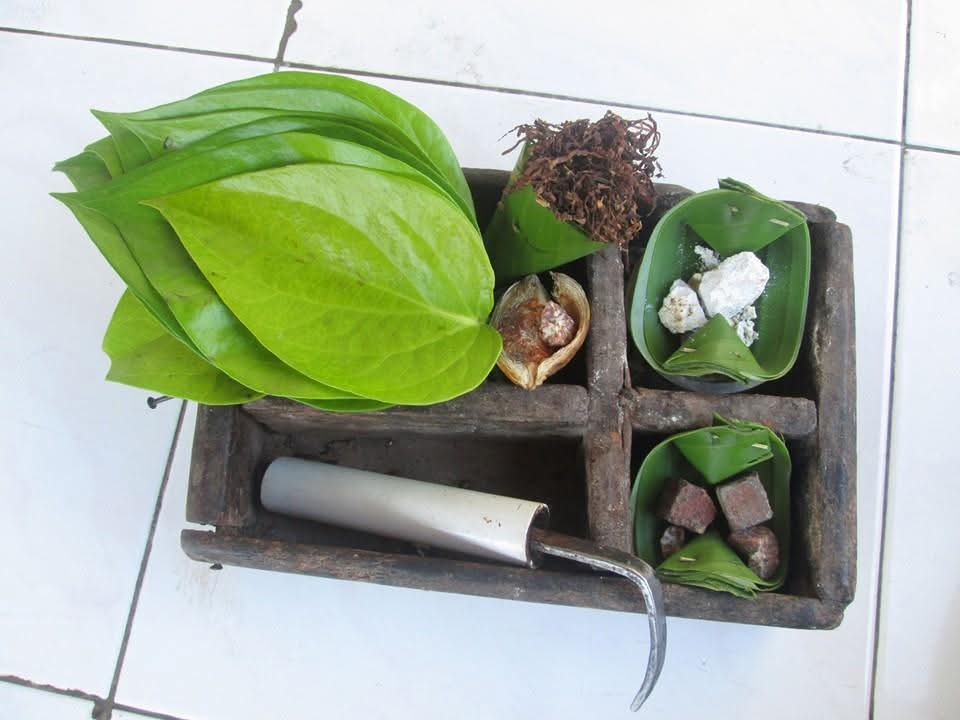 Tradisi Nginang menjadi budaya orang Bali sejak dahulu yang kaya manfaat