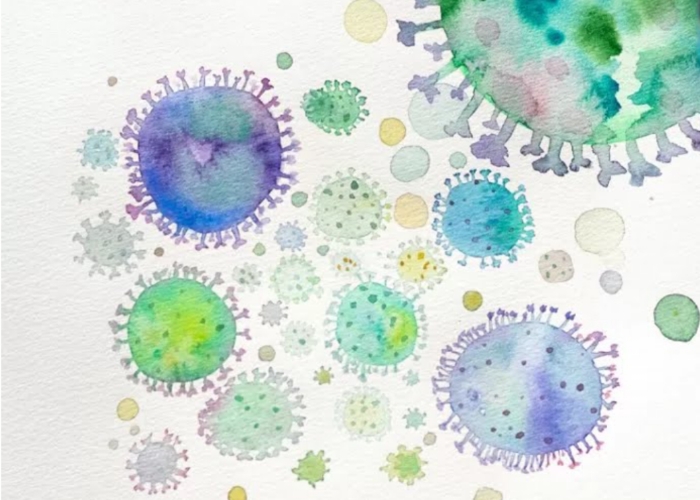 Ilustrasi virus HMPV.
