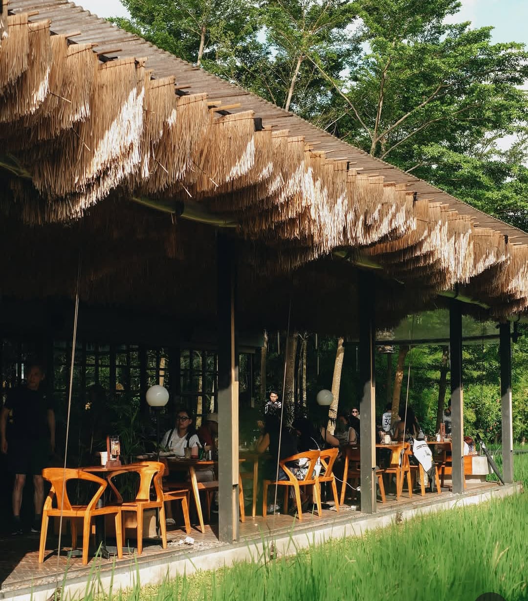 Pison Coffee Ubud tempat menikmati kopi di tepi sawah