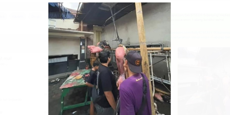 Ogoh-ogoh milik STT Sentana Peringin terbakar