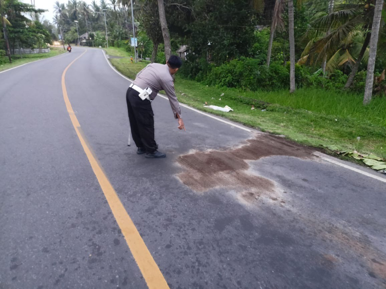 Petugas kepolisian melakukan olah tkp kecelakaan di Jalan Umum Denpasar-Gilimanuk KM 59-60, Desa Pengeragoan, Kecamatan Pekutatan, Kabupaten Jembrana, Rabu (15/1).
