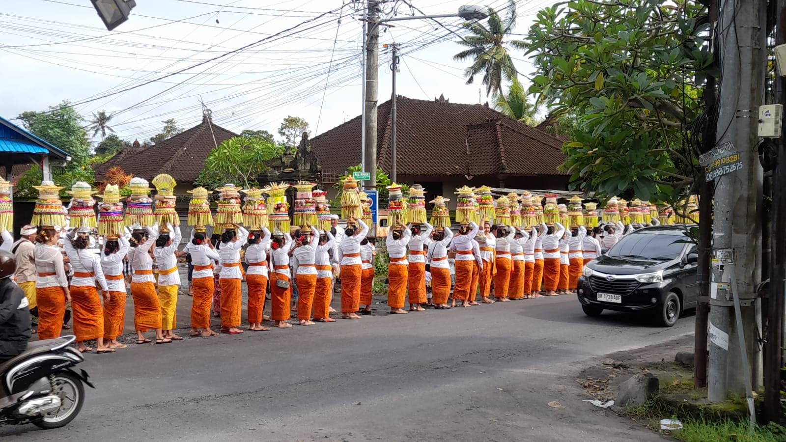 MALELAD : Tradisi malelad di Desa Sayan, Ubud.