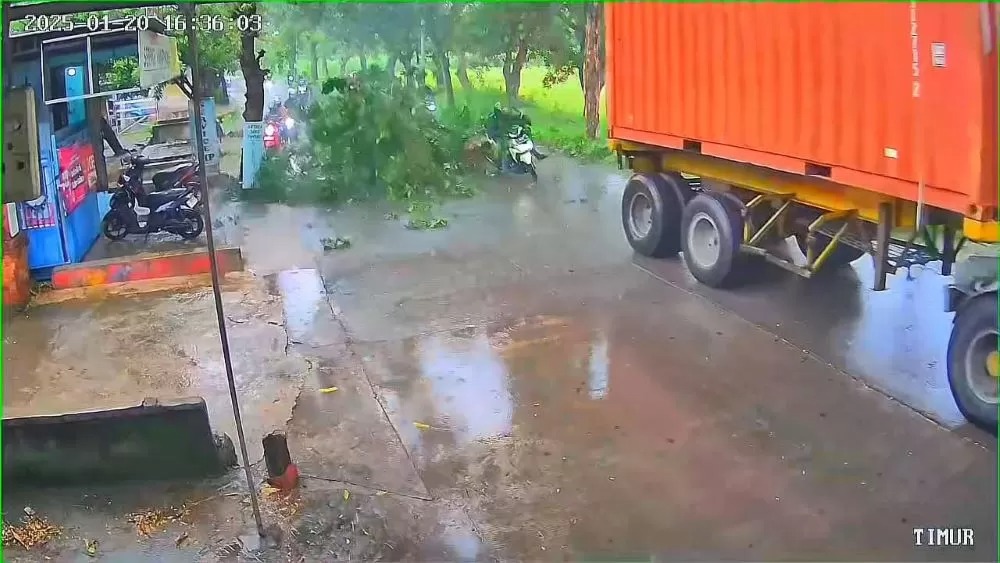 TIMPA PENGENDARA: Rekaman CCTV saat pohon yang disenggol truk kontainer menimpa pemotor di Desa Jolotundo, Kecamatan Jetis, kemarin.