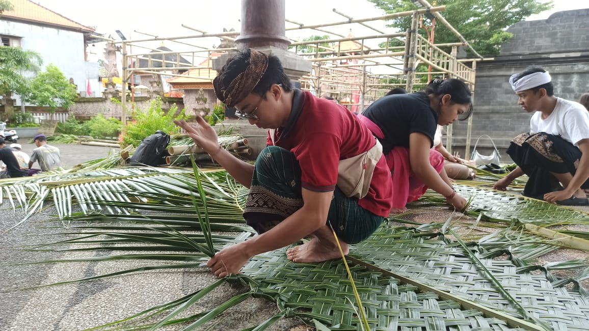 Puluhan Mahasiswa dan Mahasiswi STAHN Mpu Kuturan Singaraja ngayah ngulat kelangsah serangkaian persiapan ngaturang Bhakti Penerus yang puncaknya 8 Februari 2025 mendatang