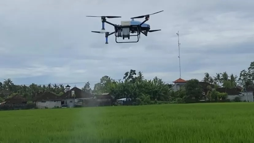 CANGGIH: Drone yang digunakan untuk menyemprotkan pupuk organik cair di Subak Bengkel, Tabanan. (Pemdes Bengkel)