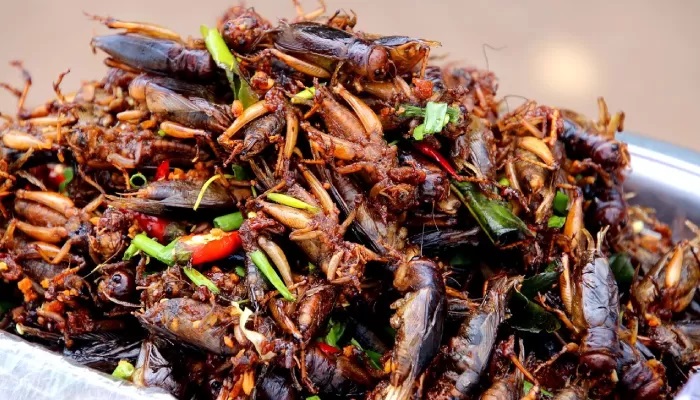 Lauk dari serangga yang kini kian populer. (Pixabay)