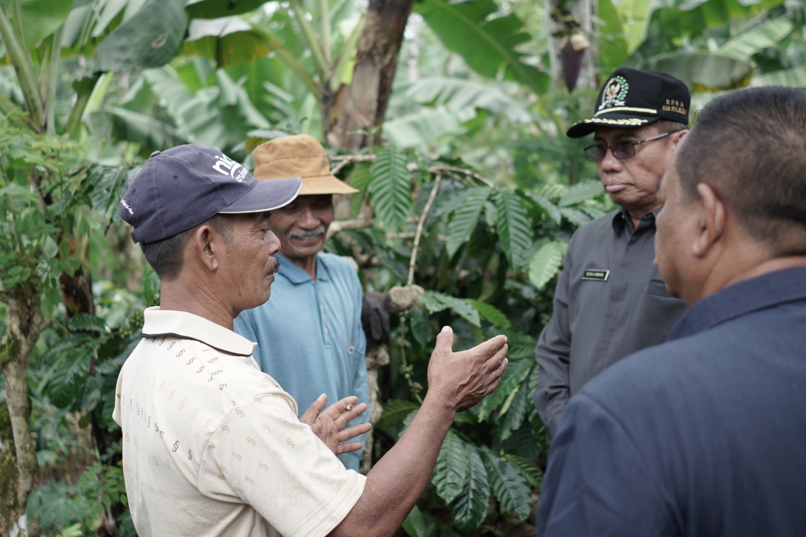 Komisi III DPRD Buleleng meninjau perkebunan perusahaan daerah Swatantra yang digarap oleh petani setempat.