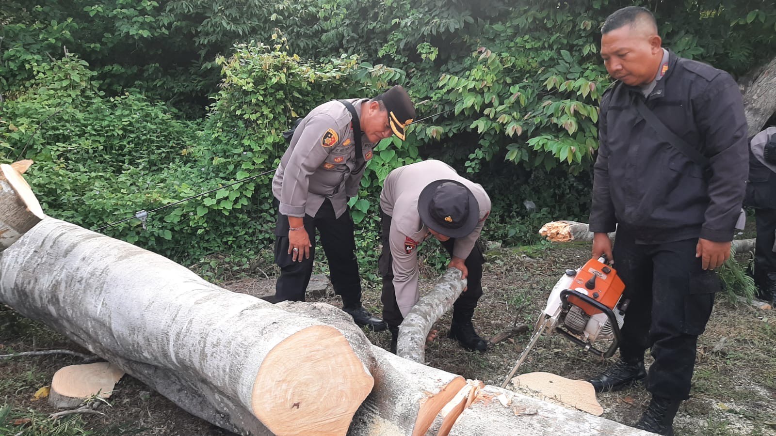 TERTIMPA POHON : Kondisi korban IPE (16) yang tertimpa pohon tumbang saat melintas di Jalur Utama Denpasar-Gilimanuk tepatnya di KM 123-124 Kelurahan Gilimanuk, Kecamatan Melaya, Kabupaten Jembrana.