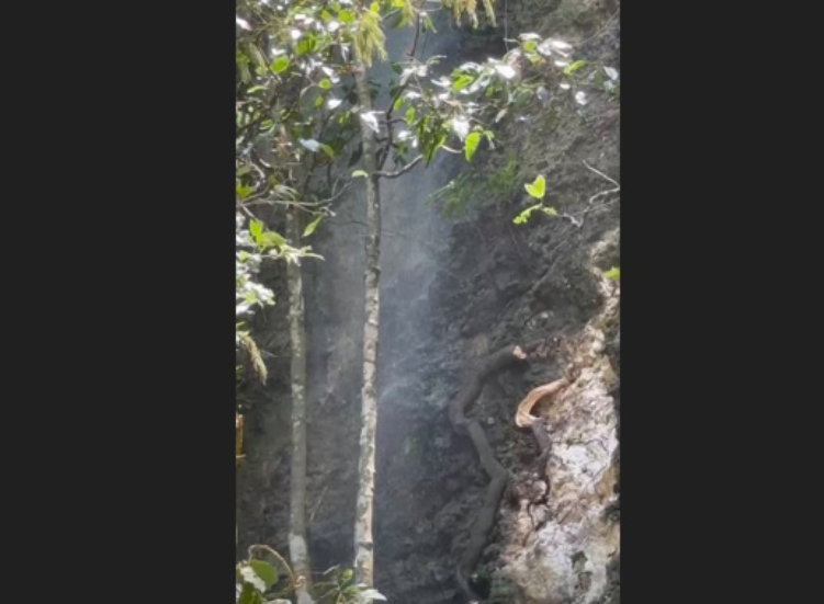 Tangkapan layar air yang diduga limbah dari salah satu Villa di Pecatu mengalir ke bawah tebing Pantai Labuan Sait pada Selasa (4/2).