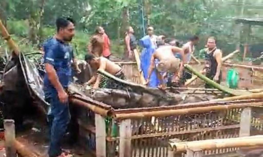 TUMBANG: Pohon aren tumbang yang menyebabkan tiga orang meninggal dan enam luka-luka di Desa Bungaya, Kecamatan Bebandem, Kabupaten Karangasem, Minggu (9/2)