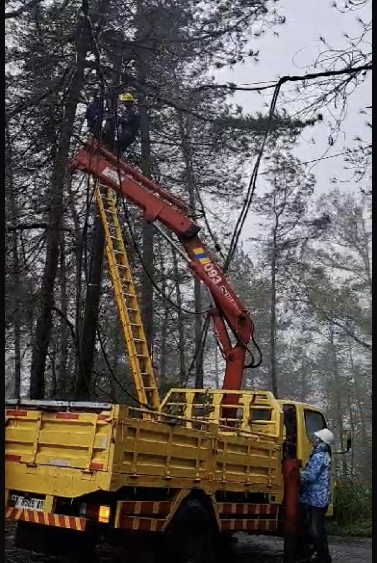 TANGANI: Petugas PLN sedang melakukan pemulihan jaringan listrik akibat pohon tumbang di Jl Udayana, Singaraja, Minggu (9/2).