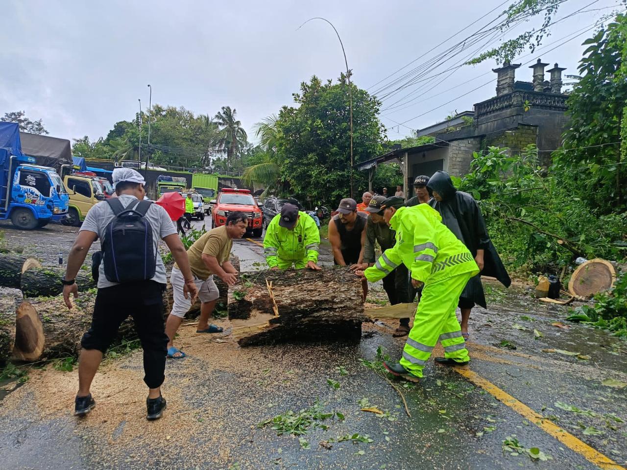 Pohon tumbang di Tabanan.