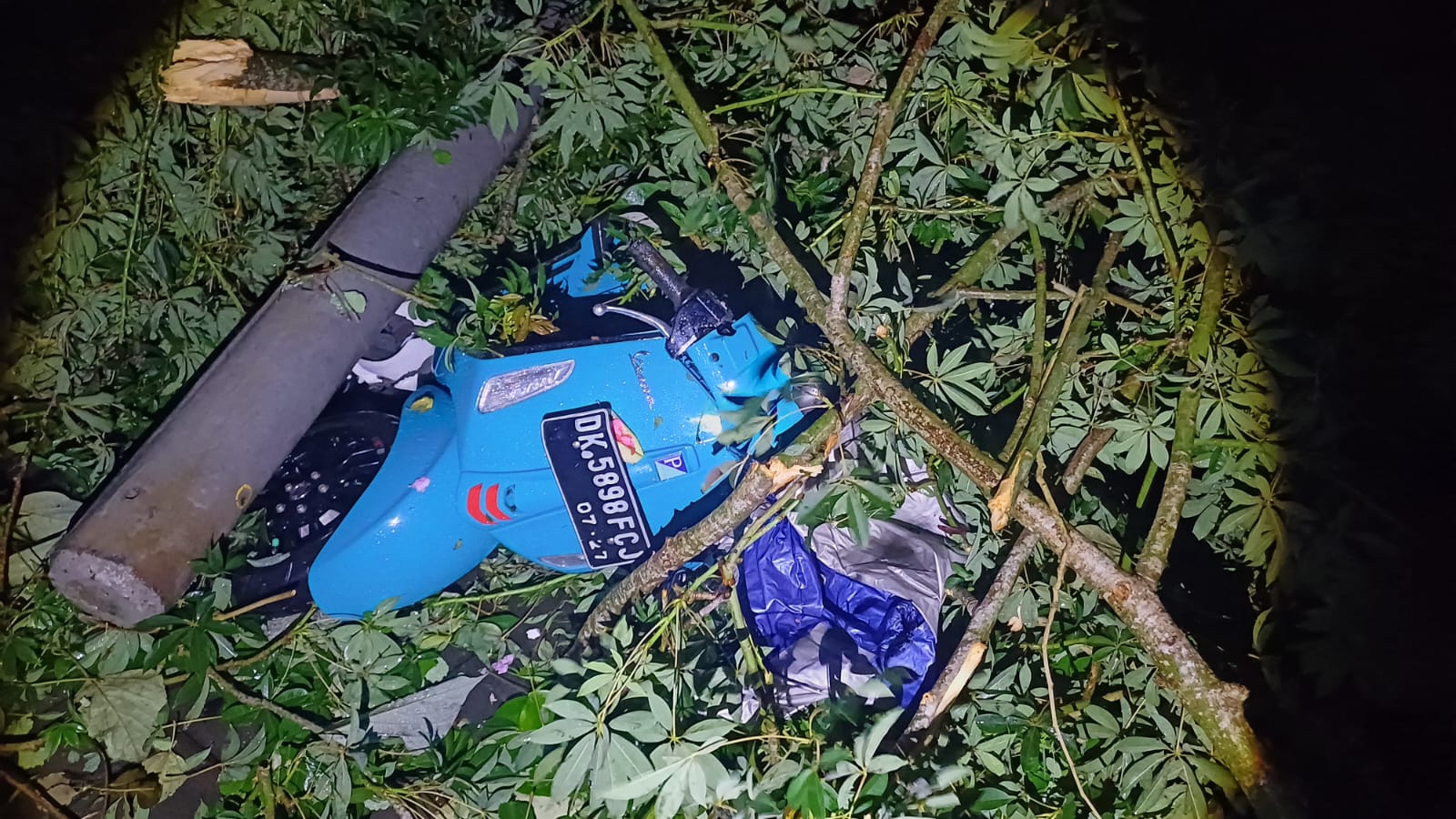 TIMPA: Sepeda motor tertimpa pohon di kawasan Uluwatu. (Bali Express/Istimewa).