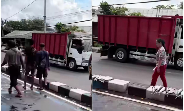 Warga bantu kumpulkan ikan yang dimuat oleh mobil pikap yang alami kecelakaan
