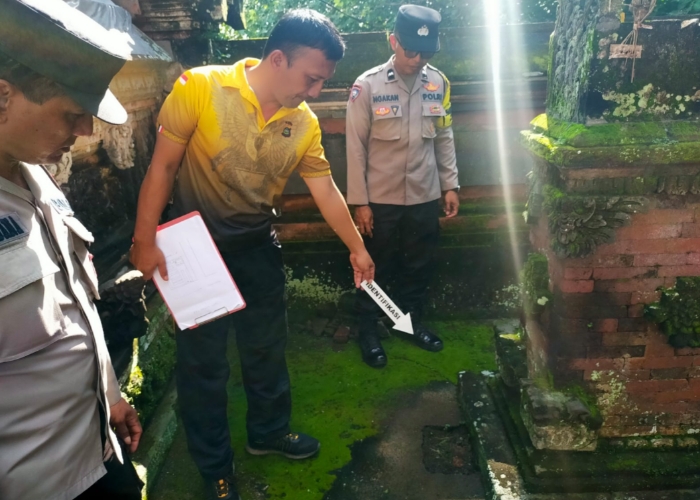 OLAH TKP : Polsek Kota Gianyar melakukan olah TKP terhadap pembongkaran pendeman pelinggih di Pura Puseh Desa Adat Temesi, Sabtu (15/2/2025).