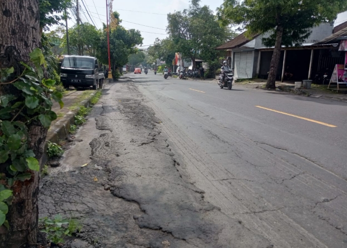 BERGELOMBANG: Ruas jalan Padangkerta mengalami kerusakan.