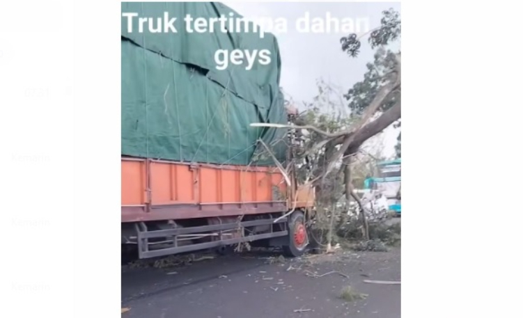 Truk tertimpa dahan Pohon di tengah perjalanan