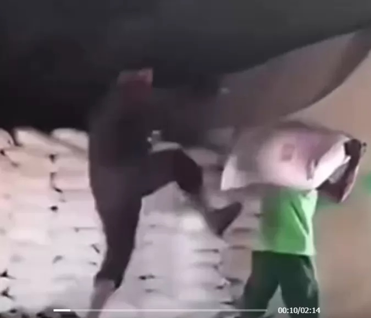 Pria tending kuli panggul di Muara Jambi