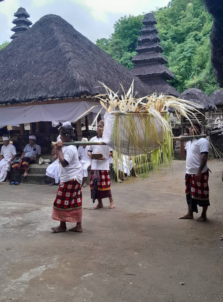 Prosesi Ngerarung bikul di Desa Julah, Kecamatan Tejakula, Buleleng