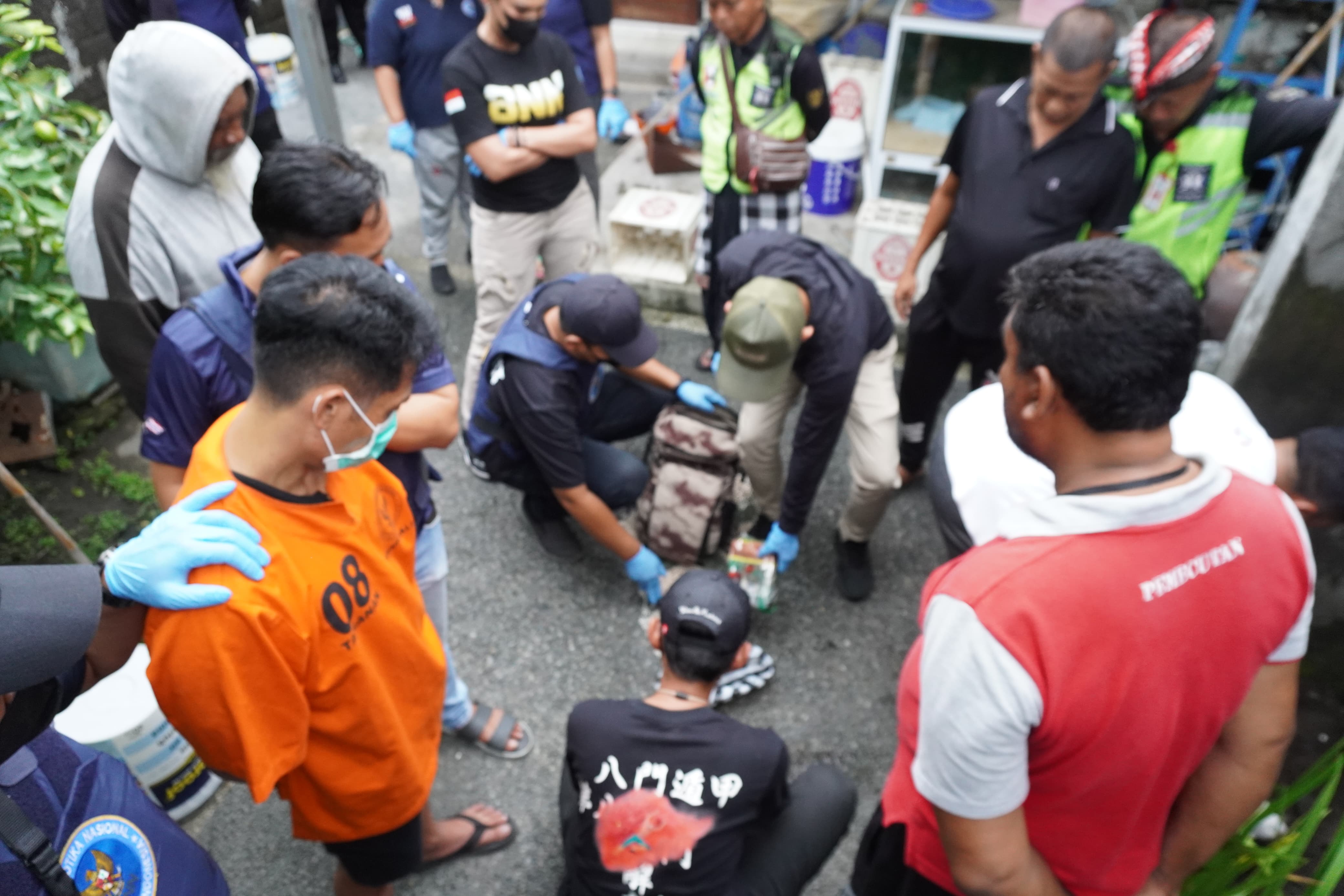 BONGKAR: Penggeledahan di rumah tersangka SP (baju oranye) oleh BNNP Bali. (Bali Express/Istimewa)