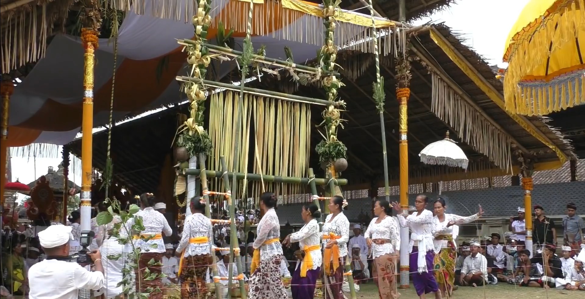 Tradisi Nyepeg Penjor di Desa Adat  di  Gebog Satak Tiga Buungan, Bangli, Bali
