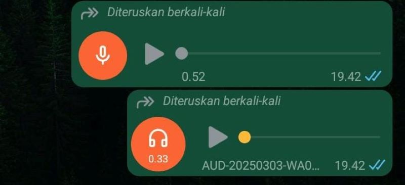 Beredar rekaman di WhatsaApp soal Jalur Tegenungan-Sukawati Gianyar masuk zona merah.