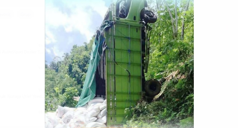 Truk Muat Pakan Ternak Terjungkat di Tembuku